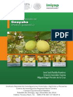 Guayaba PDF