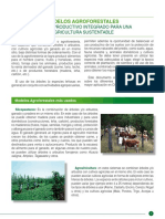 Lectura I Sistemas Agroforestales