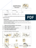 prueba libro kiwi