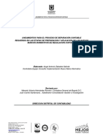 LINEAMIENTOS PARA EL PROCESO DE DEPURACIÓN CONTABLE CON ANEXOS.pdf