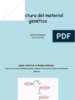 material genetico