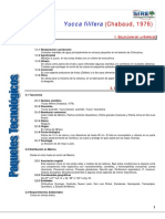 1016Yucca filifera.pdf