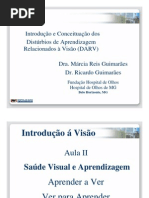 Aula 2 Dr. Ricardo Guimaraes Intro Fundacao Hospital de Olhos Curso Profess Ores Dislexia de Leitura