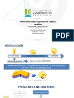 Seminario de Genetica DTN