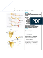 Paso 2 Anatomia PDF