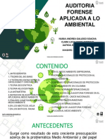 Auditoria Forense Aplicada A Lo Ambiental