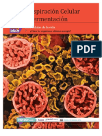 respiracioncelular-140906160323-phpapp02 (1).pdf