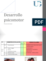 Desarrollo Psicomotor PDF