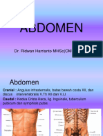 abdomen.pptx