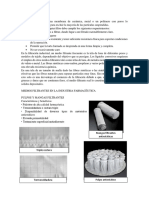 Medios Filtrantes