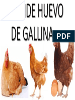 Se Vende Huevo de Gallina