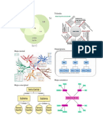 Diagrama de ven EJEMPLOS.docx