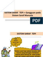 Sistem Saraf Tepi