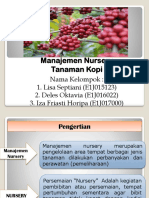 MANAJEMEN NURSERY TANAMAN KOPI