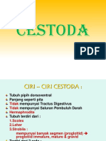 cestoda-taenia-cysticercosis-hymenolepis-echinococcus-kartika.ppt