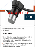 341006861-Informe-CKP