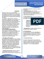 Educere21 Psicología - Sensación