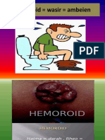 Hemoroid Wasir Ambeien