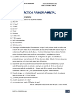 Práctica Fisica Primer Parcial Ii-2018 Amf-1 PDF