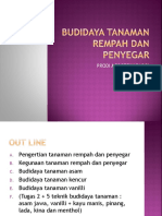 Potensi Tanaman Rempah dan Obat untuk Pengembangan Pangan Fungsional