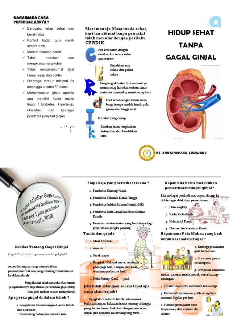 Leaflet Gagal Ginjal | PDF