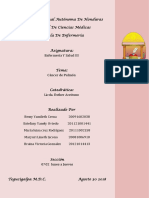 cancer de pulmon informe.docx