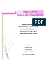 Interaccion Planta-Microorganismo