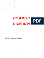 bilantul_contabil_atestat.doc
