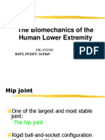 The Biomechanics of The Human Lower Extremity: BSPT, PP - DPT. M.Phil