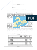 Kondisi Geografis dan Demografi Kabupaten Flores Timur