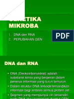 Gen Mikroba1