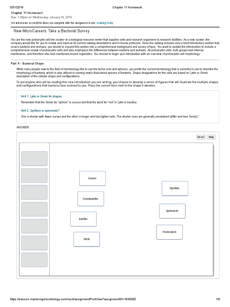 Aqueous humor is drained through the canal of schlemm. a. true b. false picture