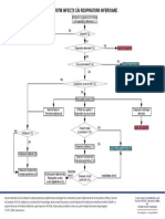 04_Alg_infectii_2010.pdf