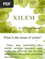 Download ANTUM_persentase-xilem-1 by Andi Maryam Mogana SN40445925 doc pdf