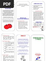 Download Leaflet - Nutrisi Ibu Hamil by Trinoval Yanto Nugroho SKep SN40448539 doc pdf