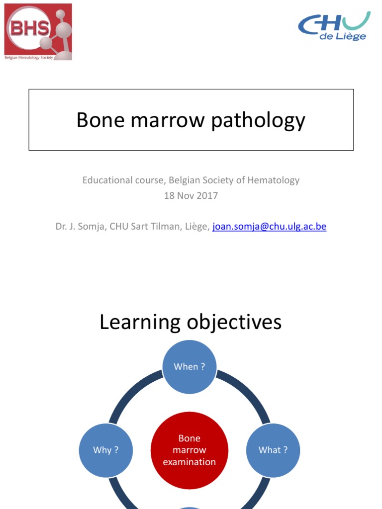 BONE MARROW ANATOMY AND PHYSIOLOGY PDF intelligence overview