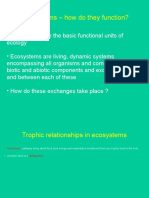 Ecosystems - How Do They Function?