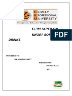 Knorr Market Term Paper 12