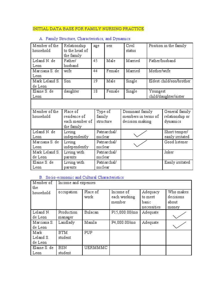 Initial Database for Family Nursing | PDF | Smoking | Health Care