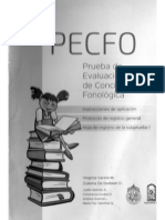 Instrucciones-y-Registro-PECFO-pdf.pdf