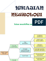 Pengkajian Neuro