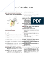 Glossary of Entomology Terms PDF