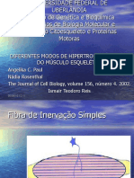 diferentesmodosdehipertrofia-100605071027-phpapp01