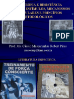 Hipertrofia 100605143046 Phpapp01 PDF