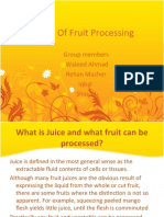 Study of Fruit Processing