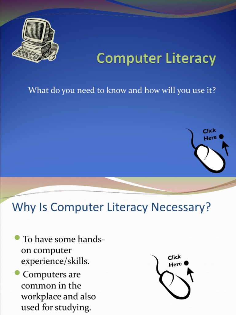 What Is Computer Literacy PDF