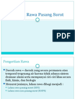 Daerah Rawa Pasang Surut