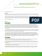 DS. 313 - SEGURO ESCOLAR (PRACTIVA).pdf