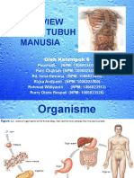 Overview Anatomi Tubuh Manusia