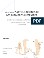 HUESOS Y ARTICULACIONES DE LOS MIEMBROS INFERIORES (2).pptx